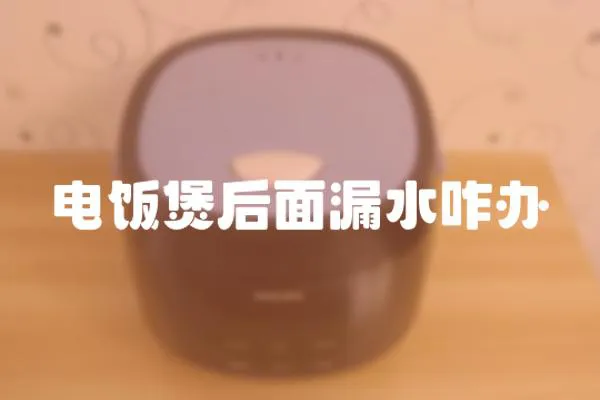 電飯煲后面漏水咋辦
