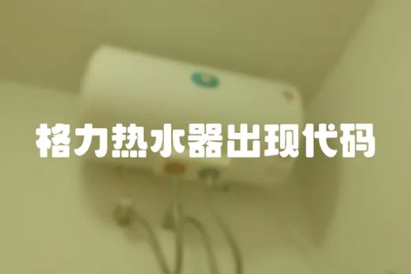 格力熱水器出現代碼