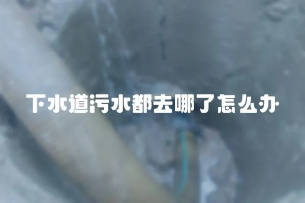 下水道污水都去哪了怎么辦