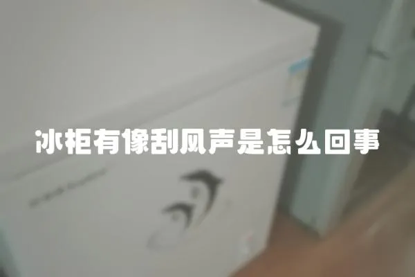 冰柜有像刮風聲是怎么回事
