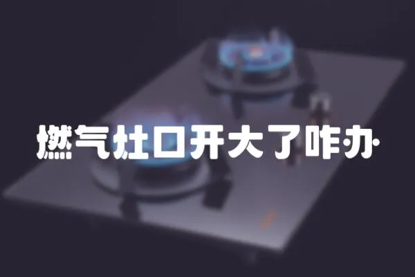 燃氣灶口開大了咋辦