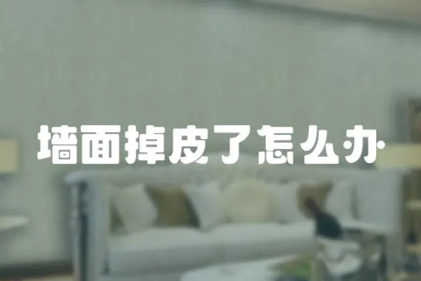 墻面掉皮了怎么辦