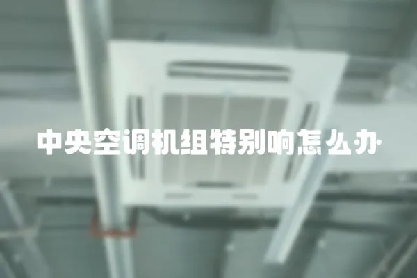 中央空調(diào)機(jī)組特別響怎么辦