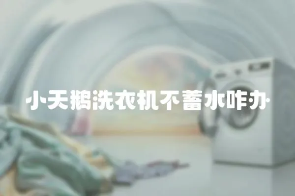 小天鵝洗衣機不蓄水咋辦