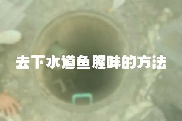 去下水道魚腥味的方法