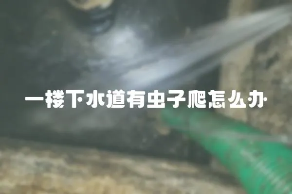 一樓下水道有蟲子爬怎么辦