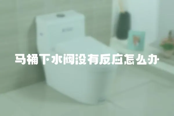 馬桶下水閥沒(méi)有反應(yīng)怎么辦