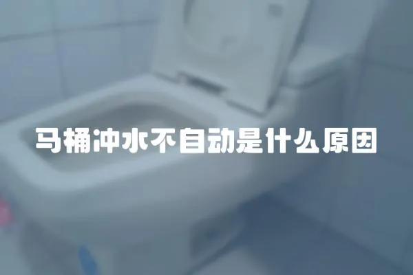 馬桶沖水不自動是什么原因