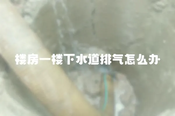 樓房一樓下水道排氣怎么辦