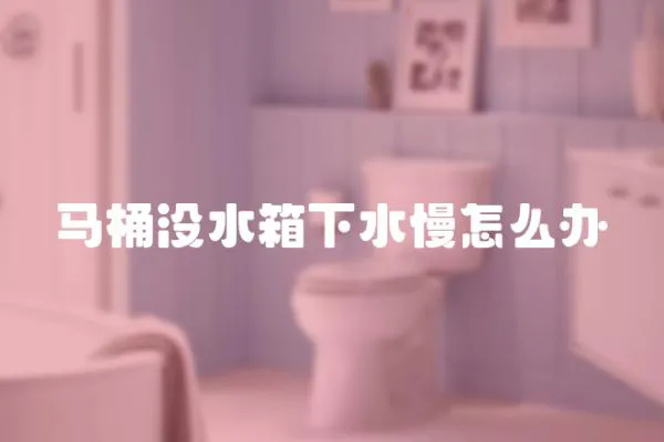 馬桶沒(méi)水箱下水慢怎么辦