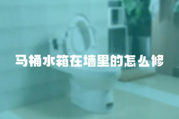 馬桶水箱在墻里的怎么修