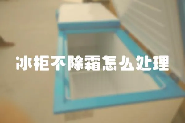 冰柜不除霜怎么處理