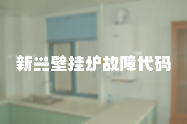 新興壁掛爐故障代碼