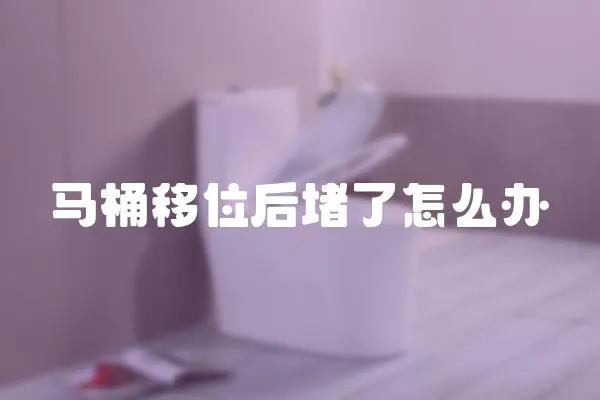 馬桶移位后堵了怎么辦