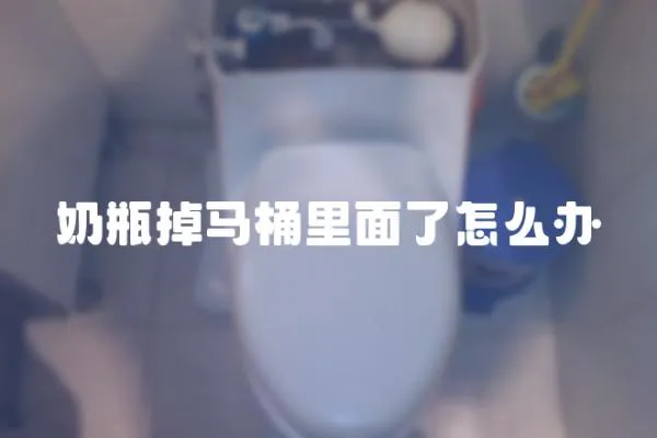奶瓶掉馬桶里面了怎么辦