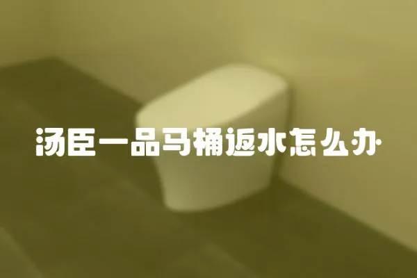 湯臣一品馬桶返水怎么辦