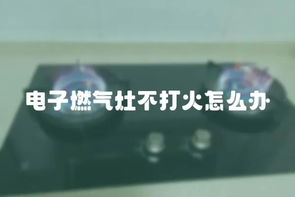 電子燃?xì)庠畈淮蚧鹪趺崔k