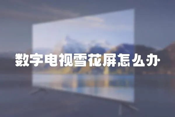 數字電視雪花屏怎么辦