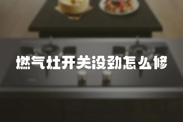 燃?xì)庠铋_關(guān)沒(méi)勁怎么修