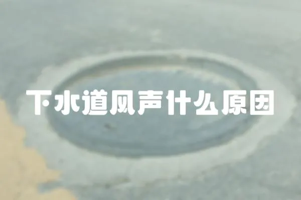 下水道風(fēng)聲什么原因