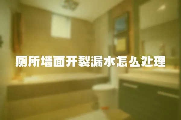 廁所墻面開裂漏水怎么處理