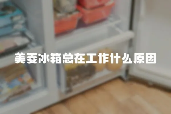 美菱冰箱總在工作什么原因
