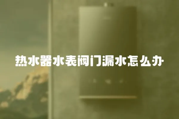 熱水器水表閥門漏水怎么辦
