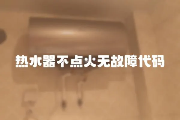 熱水器不點火無故障代碼