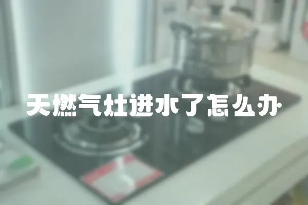 天燃?xì)庠钸M(jìn)水了怎么辦