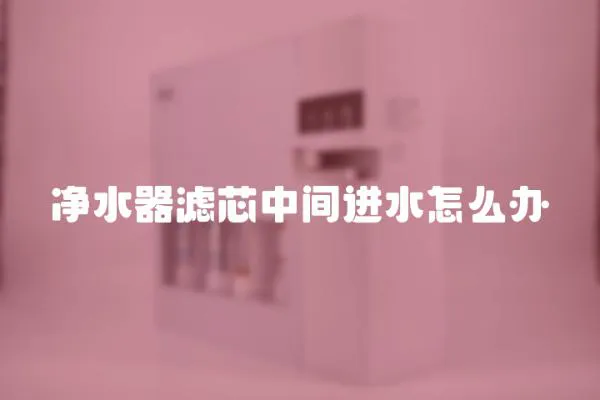 凈水器濾芯中間進水怎么辦