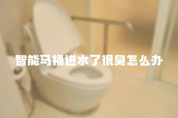 智能馬桶進水了很臭怎么辦