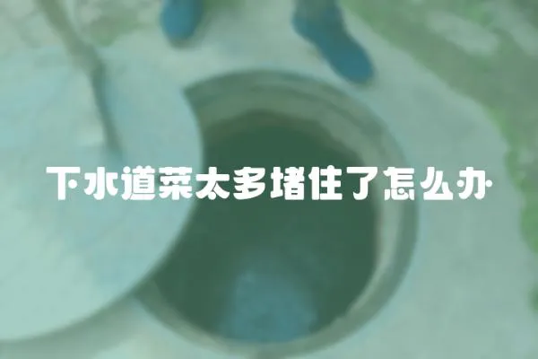 下水道菜太多堵住了怎么辦