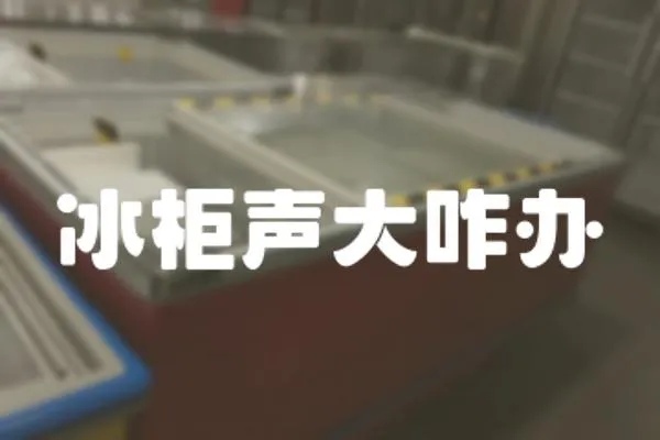 冰柜聲大咋辦