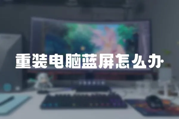 重裝電腦藍屏怎么辦