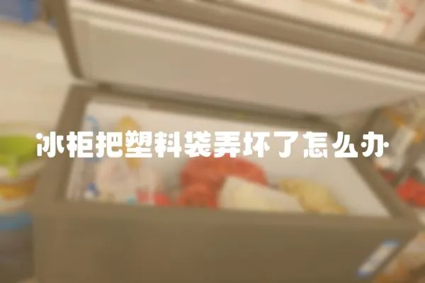 冰柜把塑料袋弄壞了怎么辦