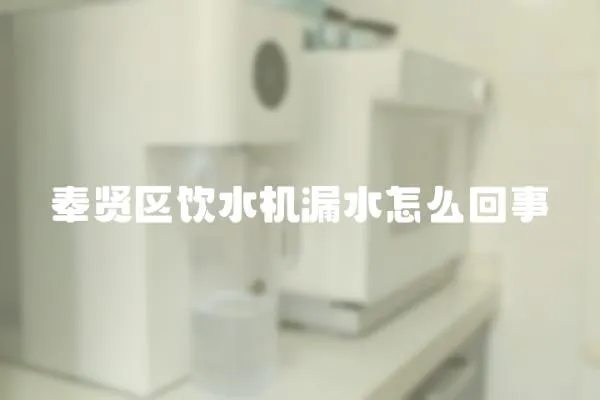 奉賢區(qū)飲水機(jī)漏水怎么回事