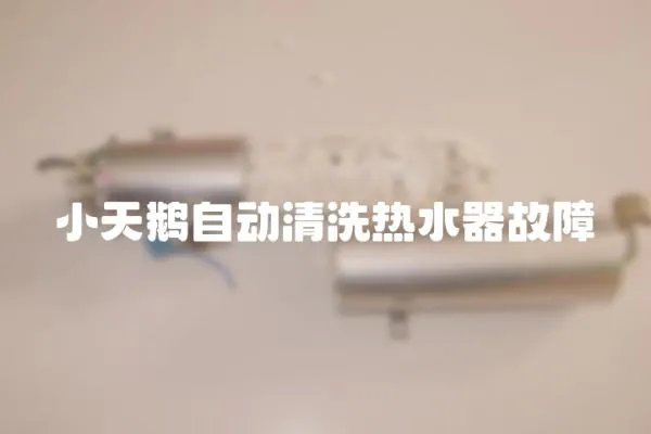 小天鵝自動清洗熱水器故障