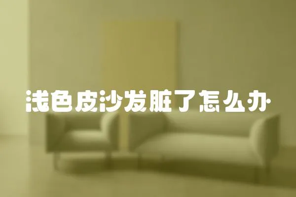 淺色皮沙發臟了怎么辦