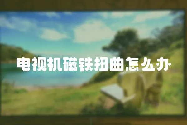 電視機(jī)磁鐵扭曲怎么辦