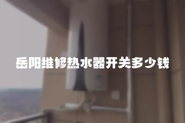 岳陽維修熱水器開關多少錢