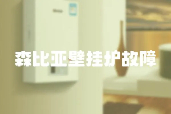 森比亞壁掛爐故障