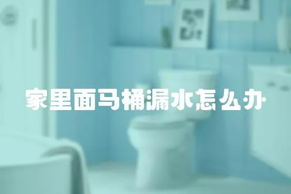 家里面馬桶漏水怎么辦