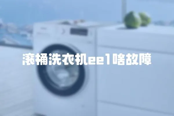 滾桶洗衣機ee1啥故障