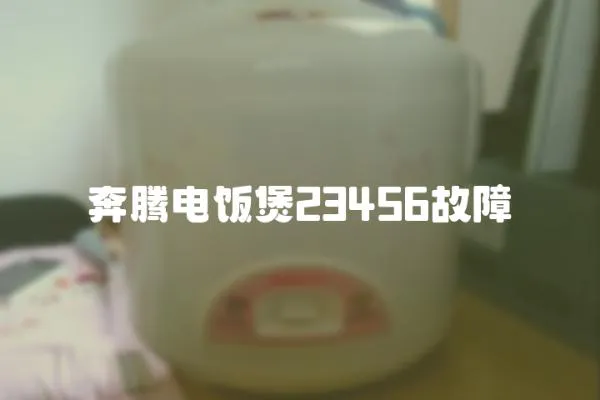 奔騰電飯煲23456故障