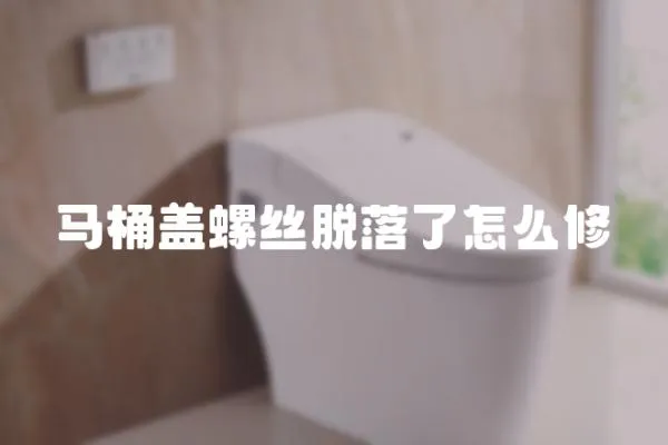 馬桶蓋螺絲脫落了怎么修