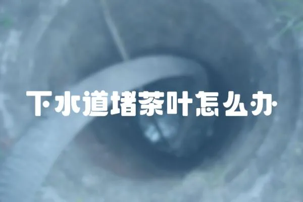 下水道堵茶葉怎么辦