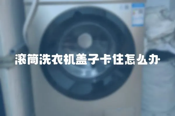 滾筒洗衣機(jī)蓋子卡住怎么辦