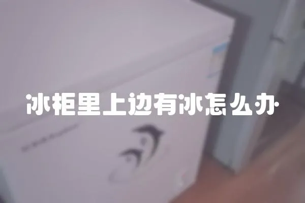冰柜里上邊有冰怎么辦