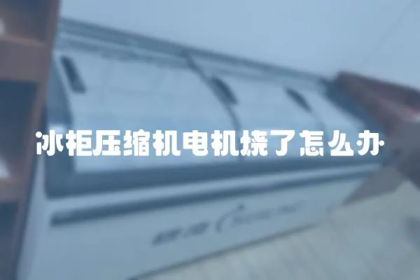冰柜壓縮機電機燒了怎么辦