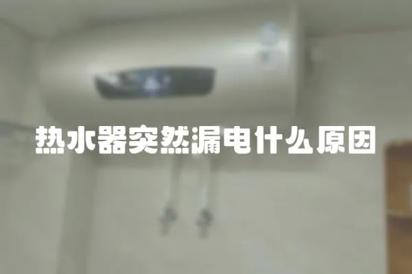 熱水器突然漏電什么原因